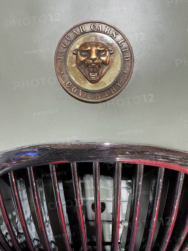 Historic old coat of arms logo with head of Jaguar and lettering Jaguar Cars Ltd Coventry on beige painted bonnet of vintage classic car Jaguar, including part of radiator grille, international
