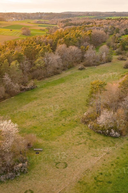 Green meadows lined with blooming trees under a warm evening light, e-bike tour, old sports field in Gechingen, Hecken and Gäu region, Calw district, Germany