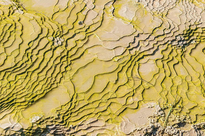 Patterns on ground rock created by water erosion, Waiotapu Thermal Park, Waiotapu, Rotorua, Bay of Plenty, North Island, New Zealand