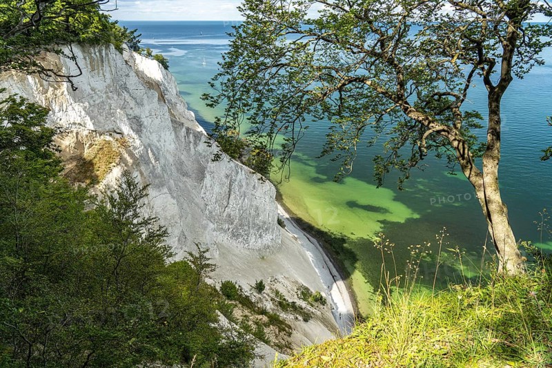 Cliffs and chalk cliffs Møns Klint, Mön Island, Denmark