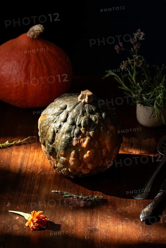 An artistic still life captures rustic autumn vibes with textured gourds, vibrant herbs, and a marigold on a wooden table. Warm lighting enhances the cozy, seasonal ambiance