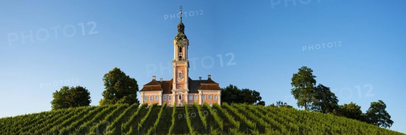 Vineyards, Birnau pilgrimage church, baroque church, exterior view, Uhldingen-Mühlhofen on Lake Constance, Baden-Württemberg, Germany