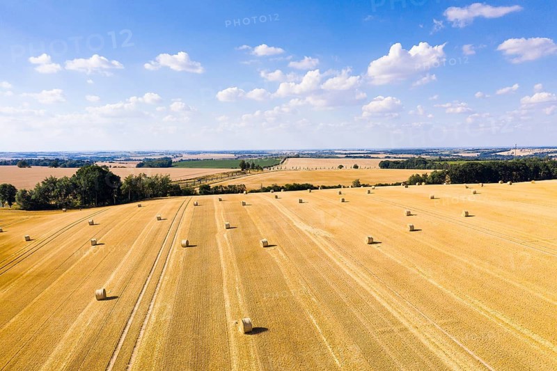 Straw bales on a harvested grain field from above, Nossen, Saxony, Germany