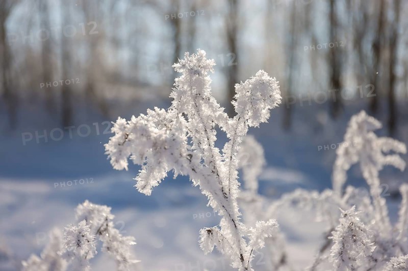 Hamm, North Rhine-Westphalia, Germany - Sunny winter landscape in the Ruhr area, ice and snow on the river Lippe