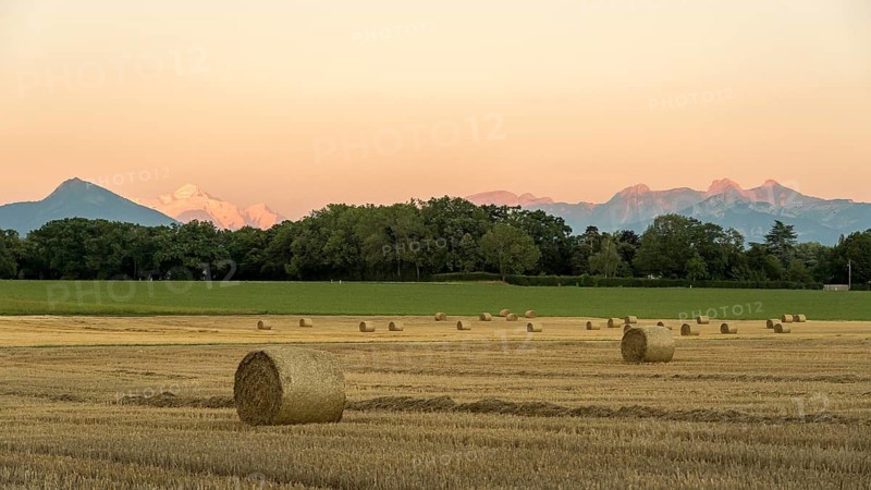 A picturesque rural scene captures hay bales in a golden field at sunset, with Mont Blanc mountain in the background illuminated by the warm, fading light in Geneva, Swiss