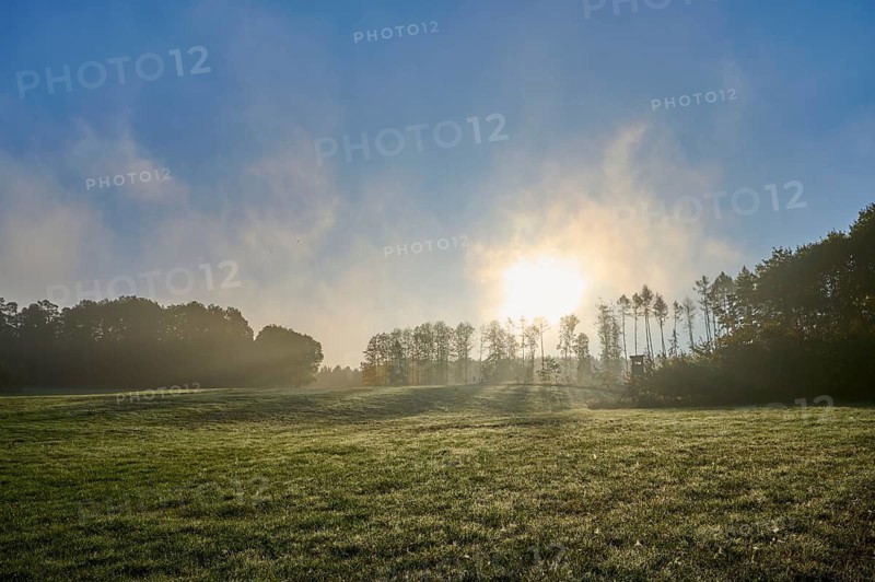Meadow landscape, forest, sky, clouds, sunrise, beeches, Odenwald, Baden-Württemberg, Germany