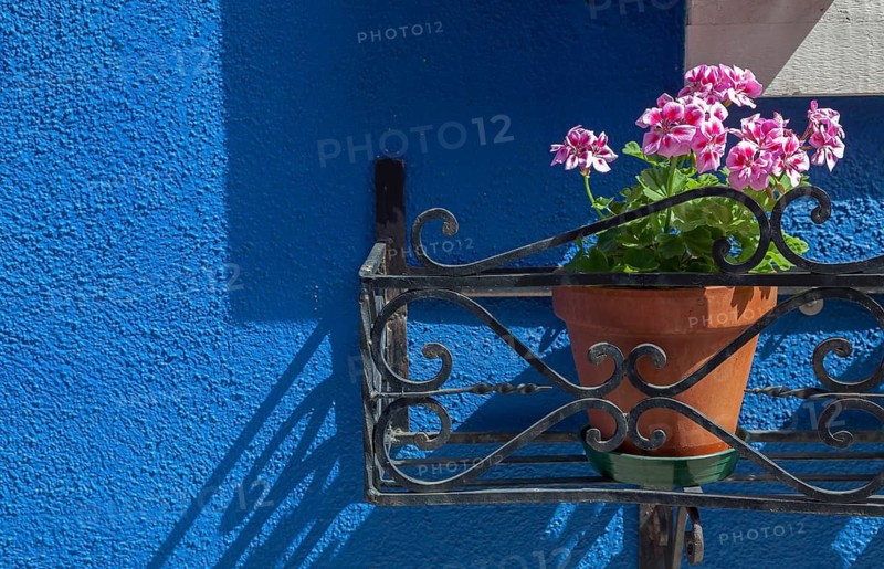 Bright blue house wall with blooming pink geraniums in a pot, mounted on an iron bracket, Burano, Venice, Italy