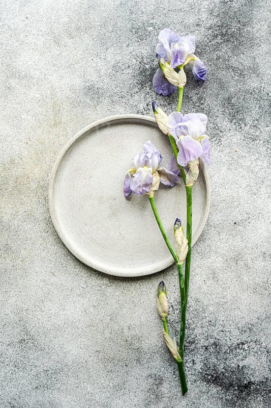 Top view of beautiful Iris flowers arranged beside a round grey plate on a textured concrete background, ideal for elegant interior decor themes