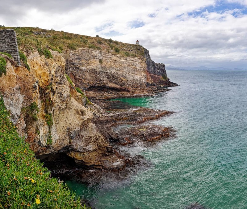 Otago Peninsula, Otago, Neuseeland