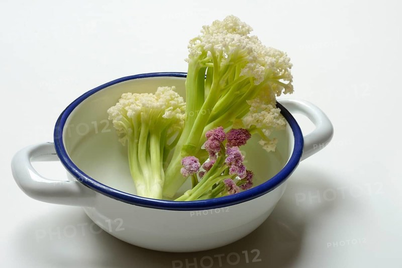 Fioretto, a cross between cauliflower and broccoli. The flowers are reminiscent of coral, vegetables