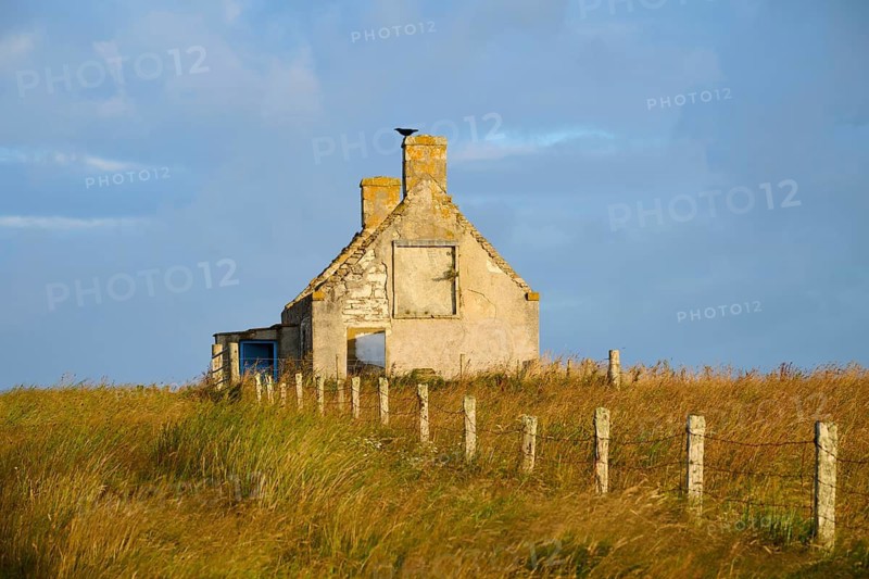 An abandoned stone house with fence stands in a vast meadow under a partly cloudy sky, Moine House, Moine Track, Lairg, Scotland, United Kingdom, Great Britain