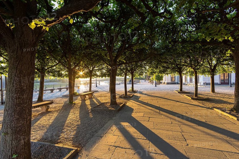 Brühl's Terrace, the low morning sun shines under the otherwise shady trees, Dresden, Saxony, Germany