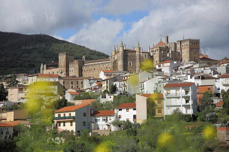 UNESCO Real Monasterio de Nuestra Senora, monastery complex, yellow flowers due to depth blur, bokehs, cityscape, Guadalupe, Extremadura, Spain