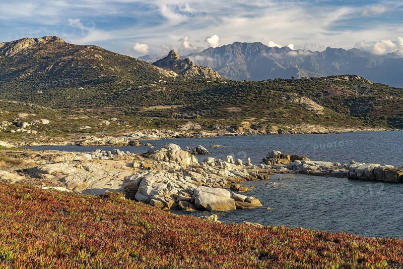 Landscape at Punta di Spanu near Lumio and the mountains, Corsica, France