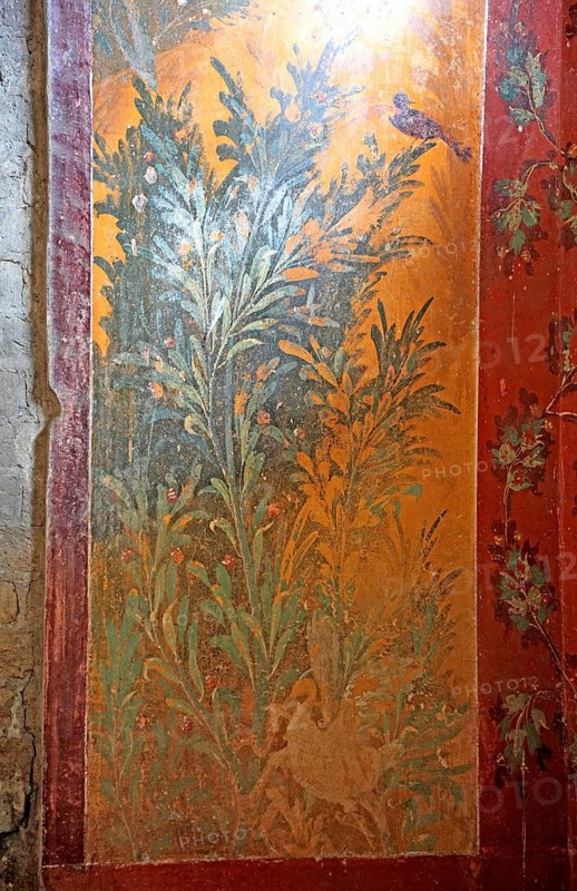Villa of Poppea, remains of the fresco decoration. Historic town of Oplontis, Torre Annunziata, Campania, Italy