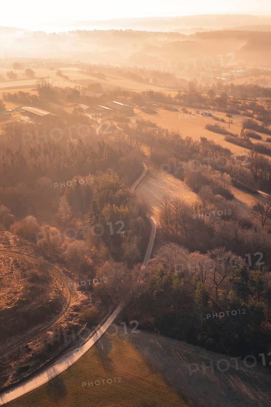 Trail snakes through a foggy forest in golden morning light, Gechingen, Calw district, Germany