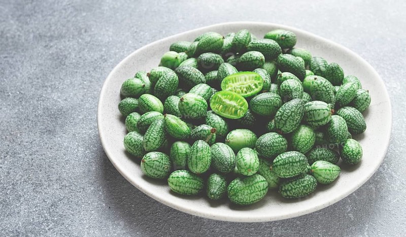 African cucumber, Mexican cucumber, mouse melon, Melothria