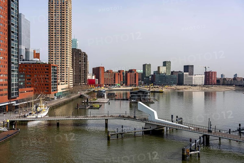 Kop van Zuid, Wilhelminapier, skyscrapers on the Nieuwe Maas, skyline of the city center, Rijnhaven harbor basin, Rijnhaven bridge, Rotterdam, Netherlands