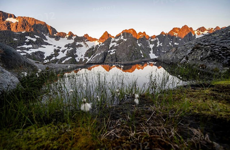 Rocky mountain peaks with snow, small pond with cotton grass in moor landscape at Trollfjord Hytta, mountain landscape with alpenglow at sunrise, at Trollfjord, Lofoten and Vesterålen, Nordland, Norway