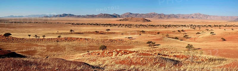 Dune landscape, panorama, Gondwana Namib Park, near Sesriem, Hardap Region