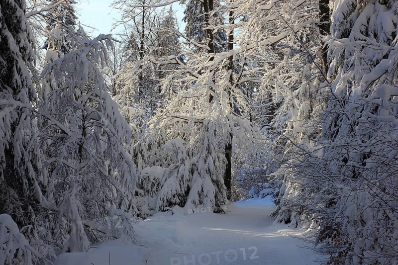Winter landscape in the Fichtelgebirge, Bayreuth district, Upper Franconia, Bavaria, Germany