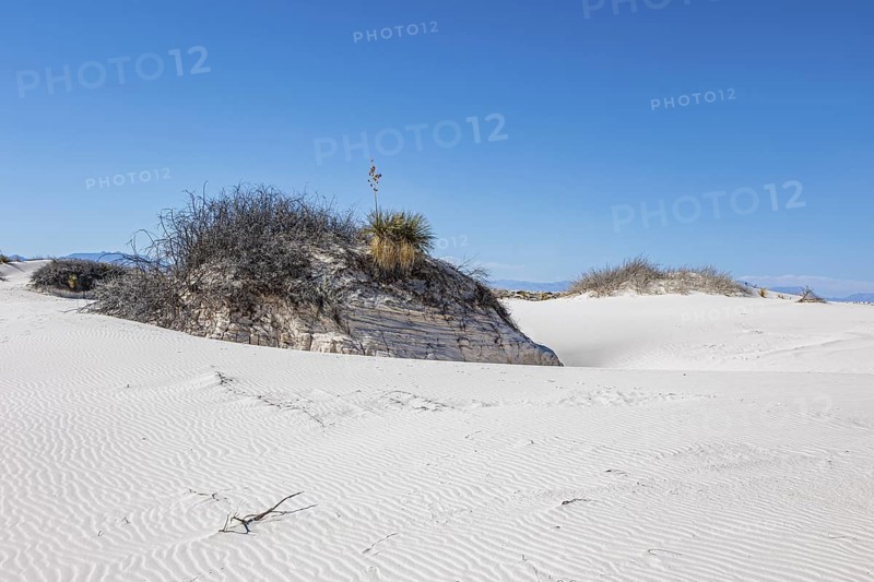 Gypsum dunefields at White Sands National Monument located within the Chihuahuan Desert and the Tularosa Basin near Alamorodo, New Mexico, USA