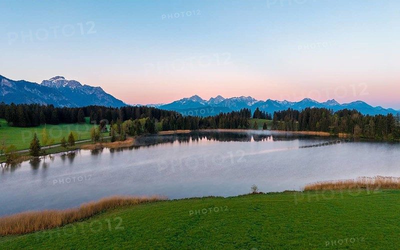 A calm lake in the morning light, surrounded by mountains and green forest, Hergratsrieder See, Alps, near Füssen, Ostallgäu, Allgäu, Bavaria, Germany