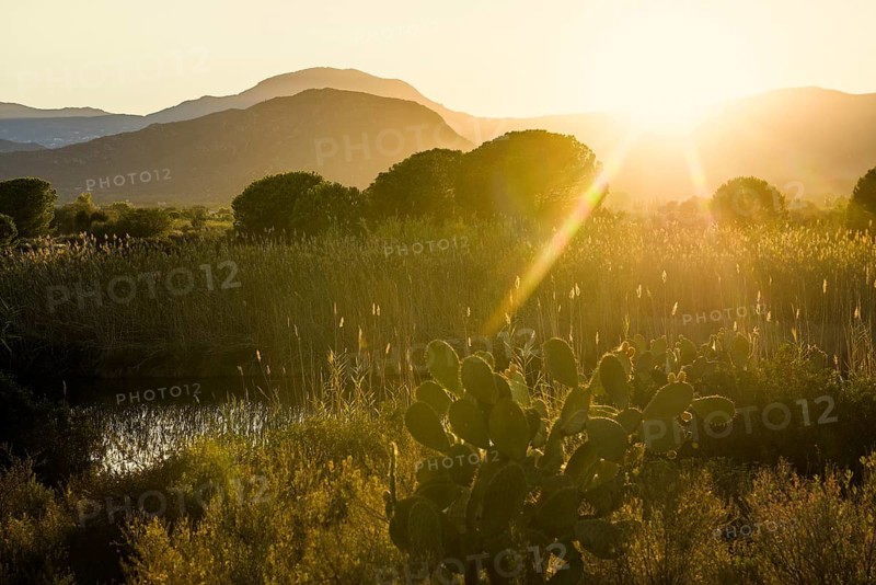 Sunset, Santa Maria Navarrese, Gulf of Orosei National Park, Baunei, Nuoro, Sardinia, Italy