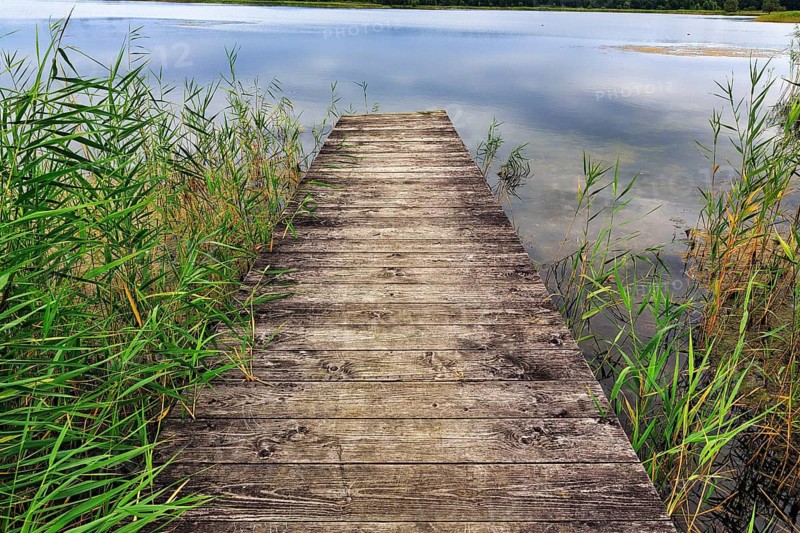Old wooden footbridge, Gräser am Peenestrom, Karlshagen, Usedom Island, Germany