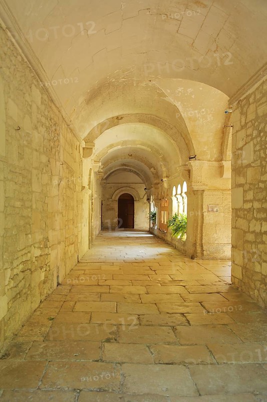 Interior view with cloister of Saint-Paul-de-Mausole Abbey, Saint-Rémy-de-Provence, Provence, Alpilles, Bouches-du-Rhône, France