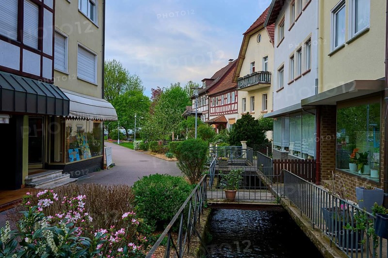 A quiet street with half-timbered houses and a small canal as well as blooming plants, spa town of Bad Orb, Spessart nature park Park, Main Kinzig district, Hesse, Germany