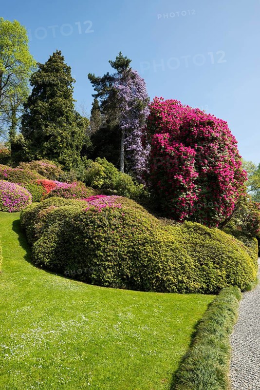 Botanical garden, spring, Villa Carlotta, Tremezzo, Province of Como, Lake Como, Lago di Como, Lombardy, Italy