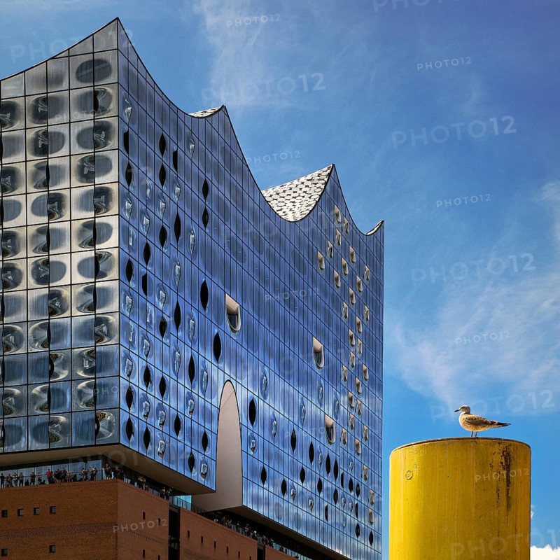 Elbe Philharmonic Hall with seagull, Hafencity, Hamburg, Germany