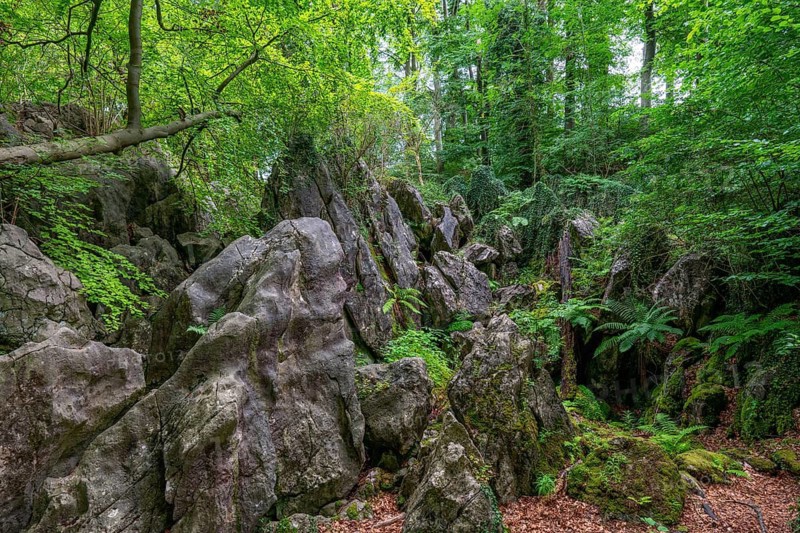 The Felsenmeer in Hemer, Sauerland, geotope, with rugged rock formations, nature reserve, North Rhine-Westphalia, Germany