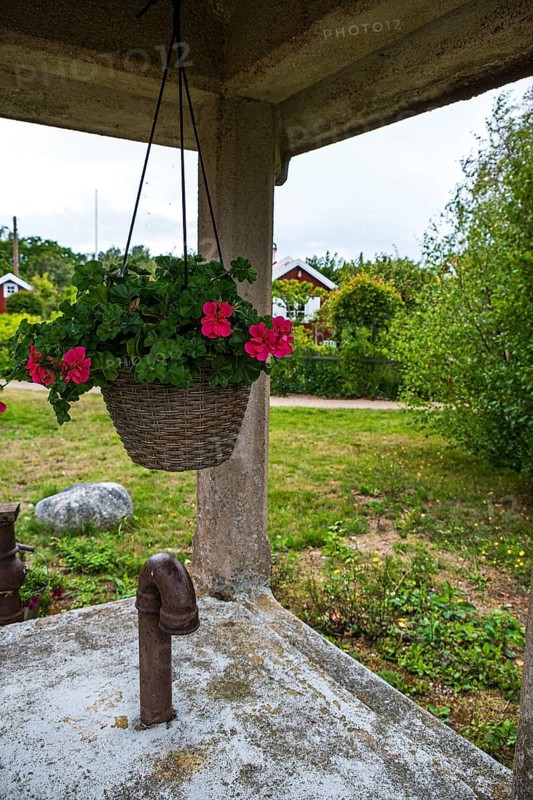 Fountain detail with hanging basket in the famous allotment garden colony Brändaholm on the island of Dragsö in the archipelago of Karlskrona, Blekinge län, Sweden