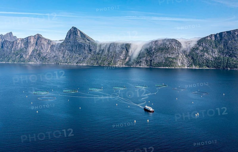 Aerial view of a salmon farm, aquaculture in the Mefjord on Senja island, in the background the peak of famous Segla mountain, Norway