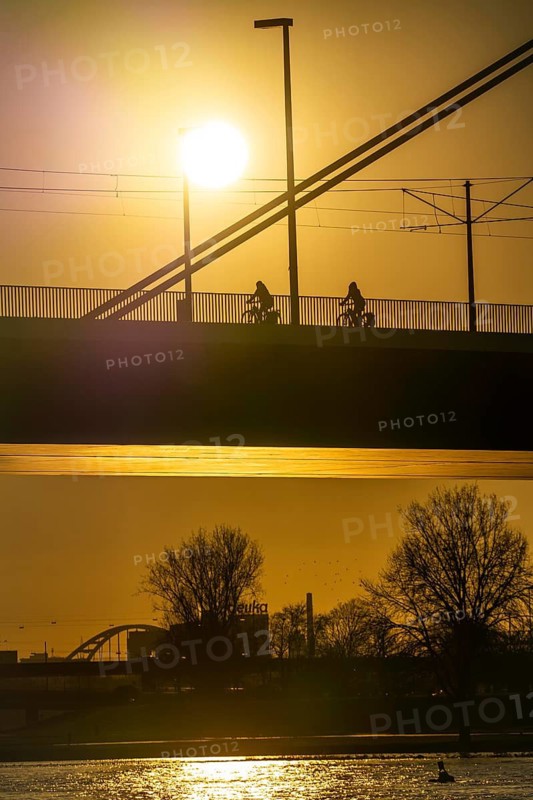 Cyclist on the Oberkassler Rhine Bridge, Düsseldorf, North Rhine-Westphalia, Germany