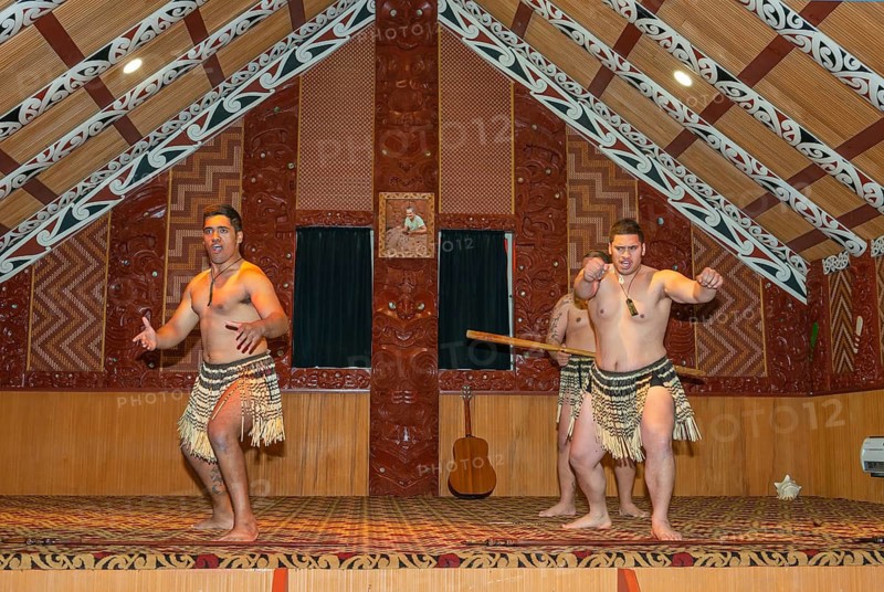 Maori welcome dance performance, Te Puia, Rotorua, Bay of Plenty, North Island, New Zealand