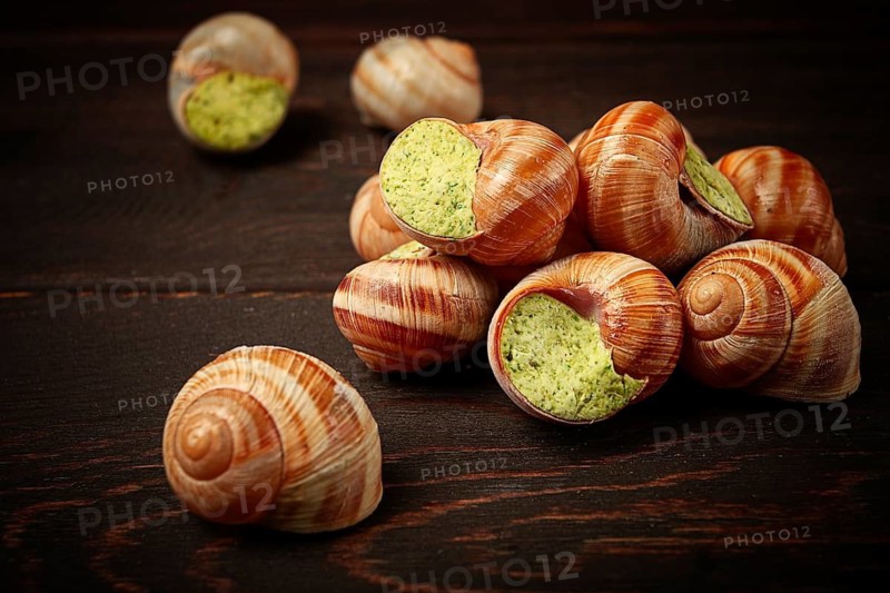 Grape snails, stuffed in burgundy, french cuisine