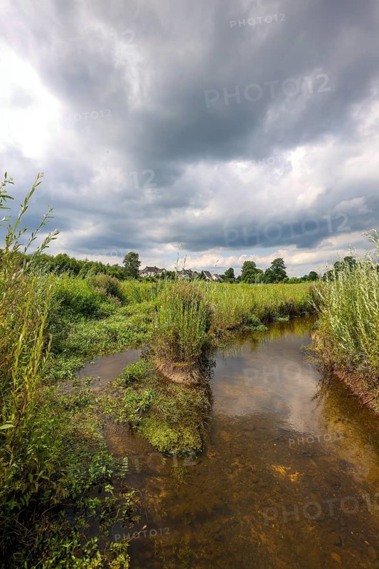 Bottrop, North Rhine-Westphalia, Germany - Renaturalised Boye, the tributary of the Emscher, has been transformed into a near-natural watercourse, flood protection for local residents through newly designed flooding areas, the Boye is now free of wastewater following the construction of a parallel sewer, is part of the Emscher river system and thus part of the Emscher conversion, was previously an open, above-ground wastewater sewer, mixed sewer with surface water and wastewater