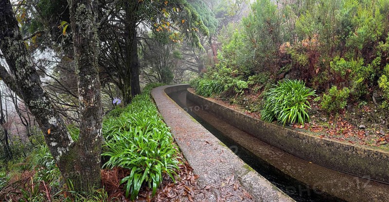 PR17 Pinaculo e Folhadal hiking trail, Levada, Irrigation Canal, Madeira, Portugal