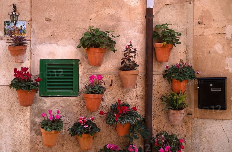 Flower pots on the wall, alleyway of plants, alley, Valldemossa, Tramuntana Mountains, Serra de Tramuntana, Majorca, Balearic Islands, Balearic Islands, Spain