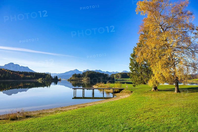 A quiet lake with a jetty, surrounded by autumnal trees and mountains under a clear blue sky, Forggensee near Füssen, Ostallgäu, Bavaria, Germany