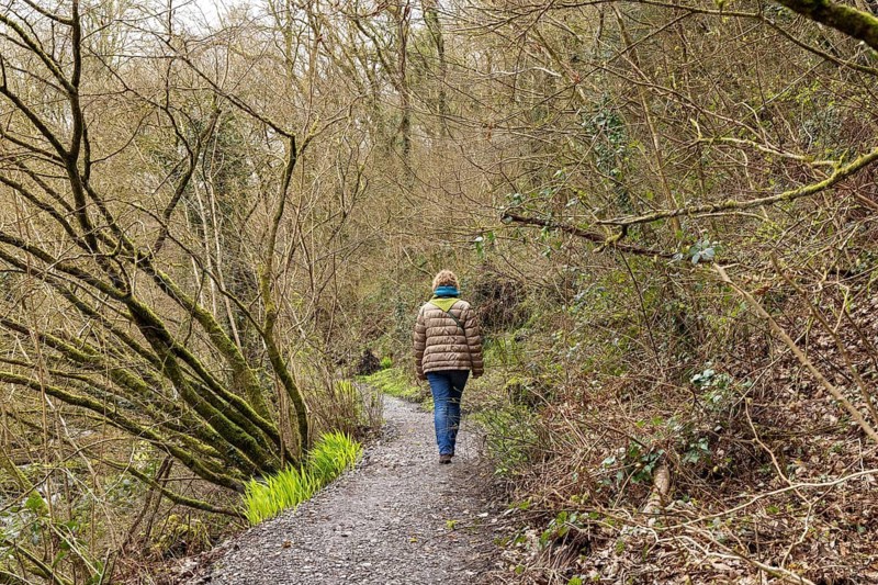 Woman hiking to waterfall, Melincourt Waterfalls Nature Reserve, Melincourt, Neath, Wales, United Kingdom