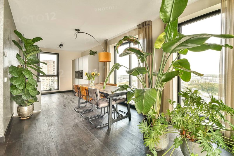 A stylish modern kitchen featuring a dining area with wooden chairs, a large window, and various indoor plants that enhance the decor