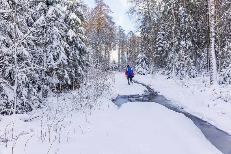 Man walking in a snowy spruce forest by a frozen stream a cold winter, Sweden
