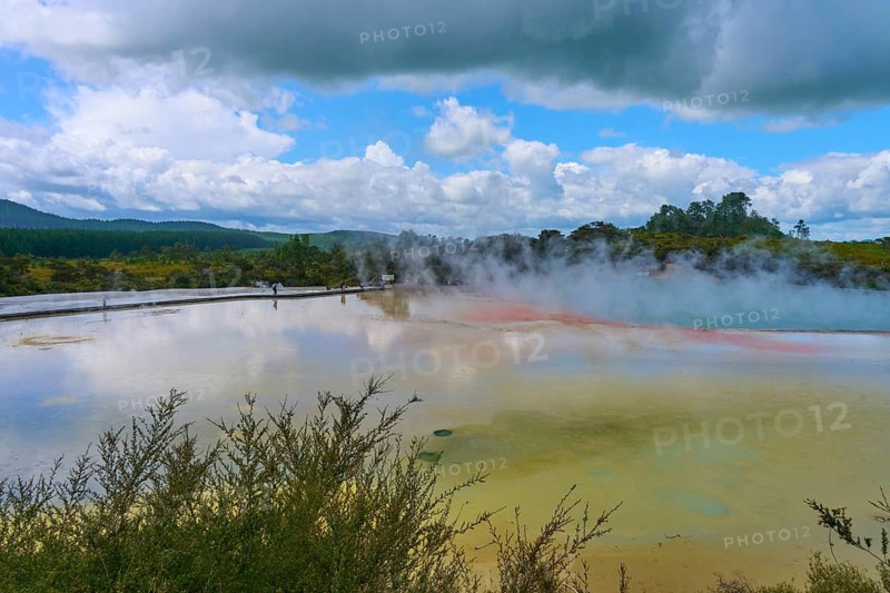 A steaming lake surrounded by bushes, under a cloudy sky, Champagne Pool thermal lake, Wai-O-Tapu Thermal Wonderland, Rotorua, North Island, New Zealand