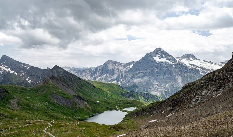 Mountain landscape with Bachalpsee mountain lake, Mittelhorn summit in the back, Bernese Alps, Bernese Oberland, Switzerland