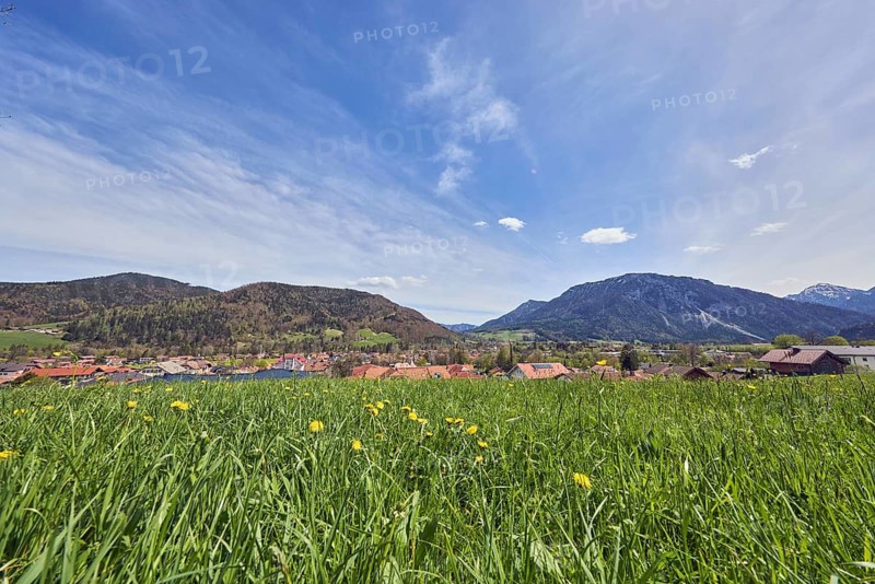 Eastern Chiemgau Alps, common dandelion (Taraxacum sect. Ruderalia), landscape photography, mountain landscape, mountains, hills, coniferous forest, village, meadow, long shot, frog perspective, blue sky, cumulus clouds, cirrus clouds, cirrostratus clouds, Ruhpolding, district of Traunstein, Bavaria, Germany