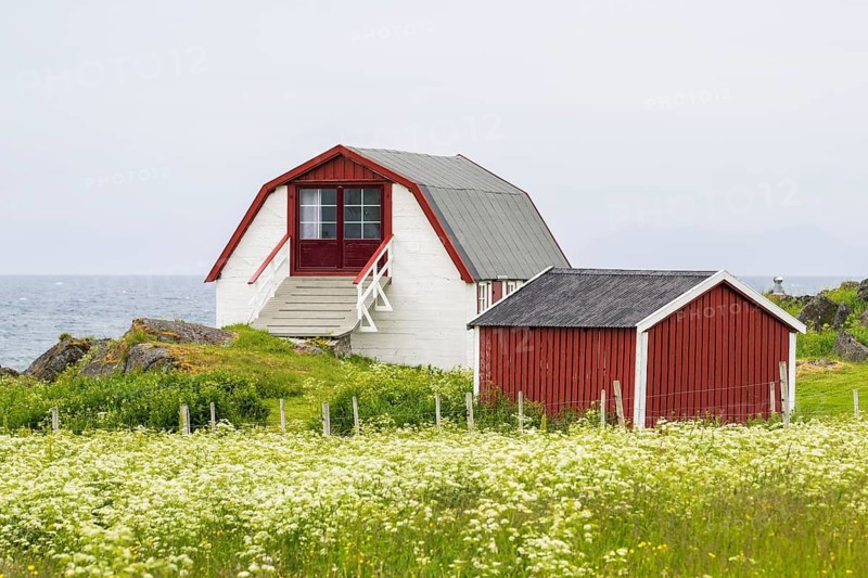 Old barn and red wooden hut on the coast, Gimsoy Island, Lofoten, Norway
